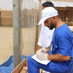 المركز الوطني للفعاليات يطلق “ميدان الصفقات” لفتح الاستثمار أمام المبتكرين