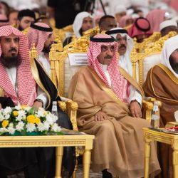 السفير المصري يلتقي أمير دولة قطر