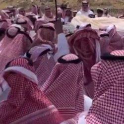 السيسي – يتلقى اتصالًا هاتفيًا من رئيس دولة فلسطين