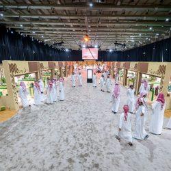 “رئاسة الشؤون الدينية تُفعّل 11 برنامجًا إثرائيًا عبر بوابة قاصد ضمن موسم العمرة”