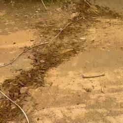 توزيع (12,000) حقيبة وكسوة مدرسية لطلاب وطالبات جازان بدعم من جمعية كسوة فرح وتنفيذ جمعية حرف التعليمية