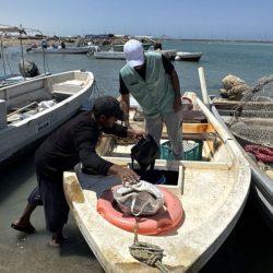 من الرياض إلى البحر الأحمر.. منصة “عروض صيف السعودية” تمنحك خيارات لإجازتك