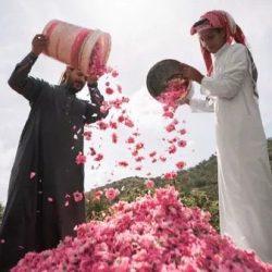 رئاسة الشؤون الدينية توضح جدول الأئمة في الحرمين الشريفين من الأحد 1 ربيع الأول حتى السبت 7 ربيع الأول 1447هـ