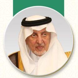 مزرعة فرنسية تبيع جميع صقورها خلال 5 أيام في المزاد الدولي لمزارع إنتاج الصقور 2025