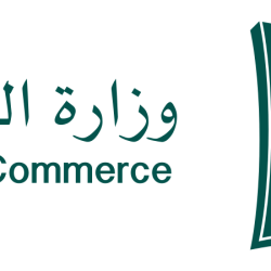 هيئة تطوير محمية الملك عبدالعزيز الملكية توثق طائر الطيطوي النبطاء لأول مرة داخل محمية في المملكة