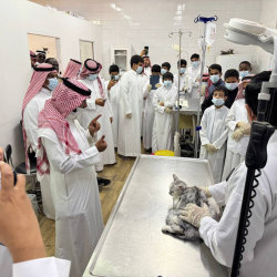 أمانة مكة تطلب المستندات الثبوتية لثلاثة أحياء