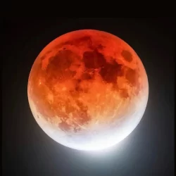 رئيس هيئة الترفيه يعلن إقامة نزالات ضمن فعالية التدريبات المفتوحة قبيل نزال كانيلو وكروفورد