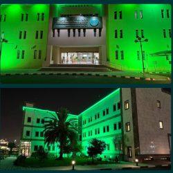 محافظة وادي الدواسر تحتفي باليوم الوطني الـ95 للمملكة بفعاليات متنوعة