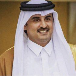 وزير الخارجية المصرى يستقبل نظيره الإيراني بالقاهرة