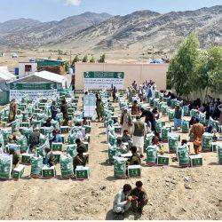 القطاع الزراعي بالباحة يسجل توسعًا نوعيًا في زراعة الفراولة بطاقة سنوية تقارب ألف طن