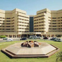 اليوم العالمي للتوعية بالنسور.. تعريف المجتمع بأهمية الحفاظ عليها وحمايتها