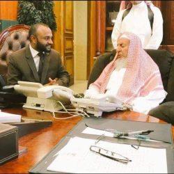 وطني… عزٌّ خالد