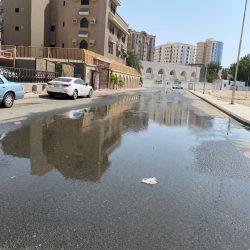 طرد الكشافة الاسرائيلية من عضوية المنظمة الكشفية العالمية