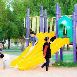 نائب أمير منطقة تبوك يستقبل رئيس وأعضاء جمعية الوقاية من الجريمة “أمان”