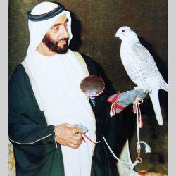 الفن الخليجي والعربي والعالمي شركاء مهمين في معرض أبو ظبي الدولي للصيد والفروسية