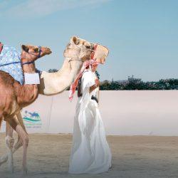 الفتح يتأهل إلى دور الـ (16) بعد تغلبه على الجبلين.. والقادسية يعبر للدور ذاته عبر بوابة العروبة