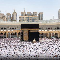 مدرسة السدرة ومتوسطة أبي بكر تحتفل باليوم الوطني الـ 95