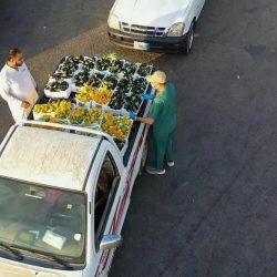 تقنية الروبوت تنهي معاناة مستفيدة من آلام الركبة في مستشفى الدرعية العام