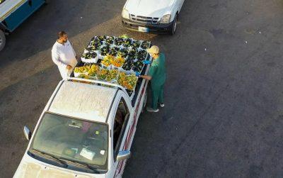 بيئة القصيم تواصل حملتها الموجهة على أسواق النفع العام والمسالخ