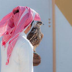 الأمانة العامة لجامعة الدول العربية تستنكر وتدين اقتحام الوزير الإسرائيلي المتطرف إيتمار بن غفير للمسجد الأقصى المبارك