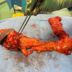 المساعد التعليمي في الطائف يشهد درساً تطبيقياً عن بعد