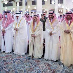 سلطان – في منزل الحدادي الصغير