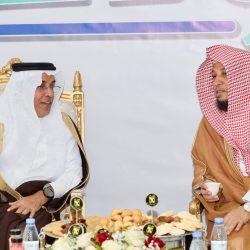 بيع 3 صقور بـ(428) ألف ريال في معرض الصقور والصيد السعودي الدولي 2025