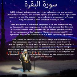 أمانة العاصمة المقدسة تبدأ استقبال طلبات تأهيل متعهدي الإعاشة استعدادًا لحج144