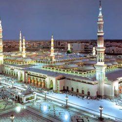 مزاد المدينة المنورة الثاني للإبل