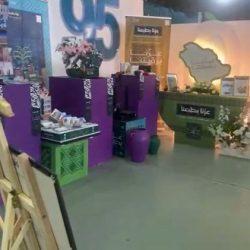 بيع 4 صقور بـ (652) ألف ريال في معرض الصقور والصيد السعودي الدولي 2025