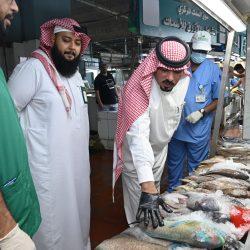 معالي الشيخ – السديس يستقبل المستفيدين ويؤكد استمرار تطوير الخدمات الدينية