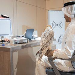 الصحة وهيئة حقوق الإنسان تناقشان أوجه التعاون بين الطرفين