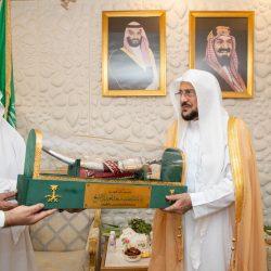 المتحف المصري الكبير.. ميلاد حضاري يعيد وهج التاريخ ويصنع المستقبل