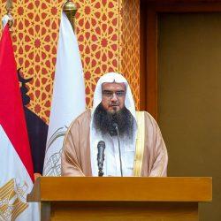 اللص المحبوب