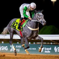 تركيا بـ 72 ميدالية وأوزبكستان 29 و إيران 29 ميدالية والمملكة العربية السعودية 18