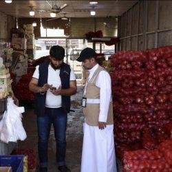 صـــدى الكلمـــات.. الحــكمة والحـــكيم