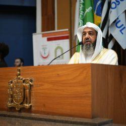 لقاء وزير الخارجية المصرى مع وزير الخارجية السعودي على هامش أعمال قمة مجموعة العشرين بجوهانسبرج