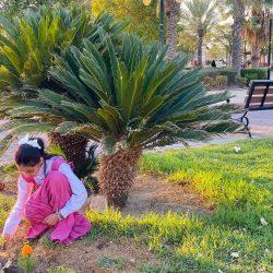 تعليم الطائف يناقش نظام الدعم الموحد وأعمالي والهوية البصرية