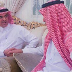 إقبال لافت على توثيق ملكية الصقور في منافسات كأس نادي الصقور 2025 بالخبر