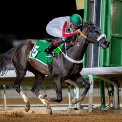 خدمه تعليق قطرية جديده في كأس العالم تحت 17 سنة FIFAقطر 2025