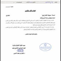 اتصال هاتفي بين وزير الخارجية المصري ونظيره السعودي