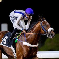 خادم الحرمين الشريفين يعزّي أمير دولة الكويت في وفاة الشيخ جابر مبارك صباح الناصر الصباح