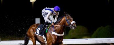 سكوت لاند يارد ينازل وايت تو اكسل بكاس نادي سباقات الخيل. 