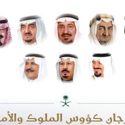 أبرز الأرقام في كأس العرب FIFA قطر 2025 قطر استضافت نسخة تاريخية من مونديال العرب الشغف بكرة القدم والتنوع الغني للثقافة العربية يتصدران المشهد في البطولة