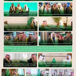 نظرية العقل وجدلية النقل