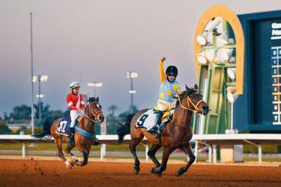 سكوت لاند يارد ينازل وايت تو اكسل بكاس نادي سباقات الخيل