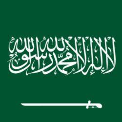 تعليم الطائف يطلق فعاليات احتفاء مدارس المحافظة بيوم التطوع السعودي والعالمي