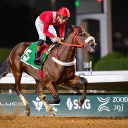 اكتمال جاهزية سباق الشرقية الدولي ( 27 )واستعدادات ميدانية مكثّفة للانطلاق