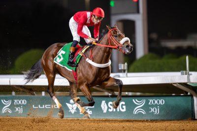 مواجهة مرتقبة بين افضل امهار السنتين في كأس الحرس الوطني