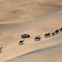 أمانة جدة تطلق مبادرة “جدة تمشي 2” وتفعّل التحديات في حديقة الأمير ماجد